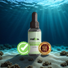 HairVigor 24 - 1 bottle
