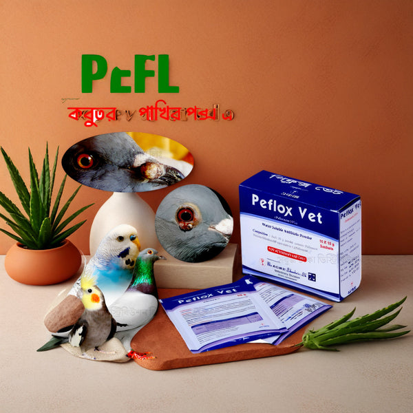 PostareX Complete